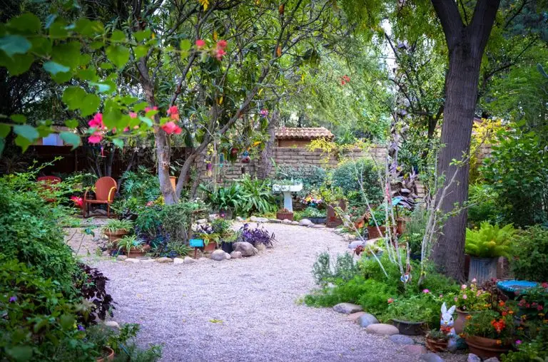 SAVOR Food Wine Culinary