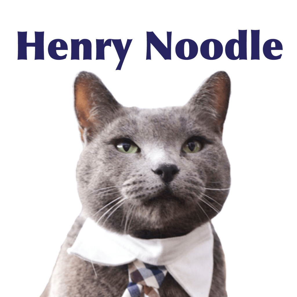 A cat with a bowtie and Henry Noddle written above